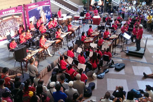 Hong Kong Junior Chinese Orchestra